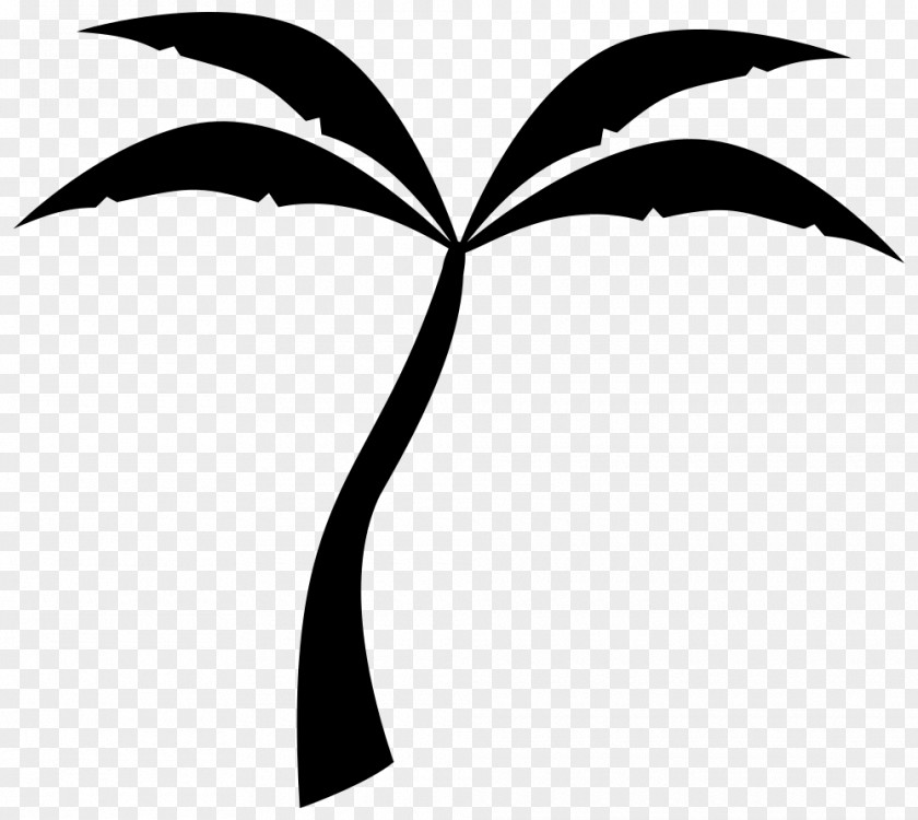 Palm Tree Arecaceae Silhouette Drawing Clip Art PNG