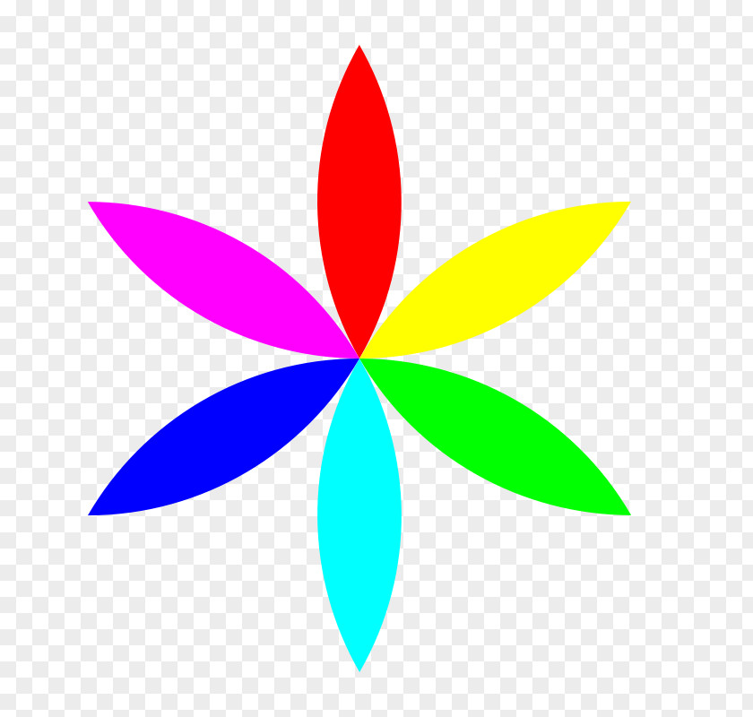 Texas Longhorn Clipart Color Flower Clip Art PNG