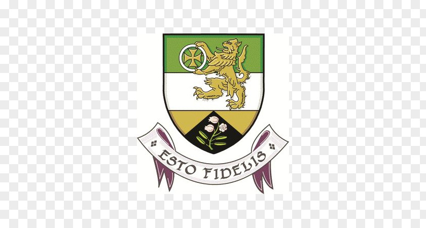 Tullamore Evans Cleaning Services Offaly County Council Midlands 103 GAA PNG