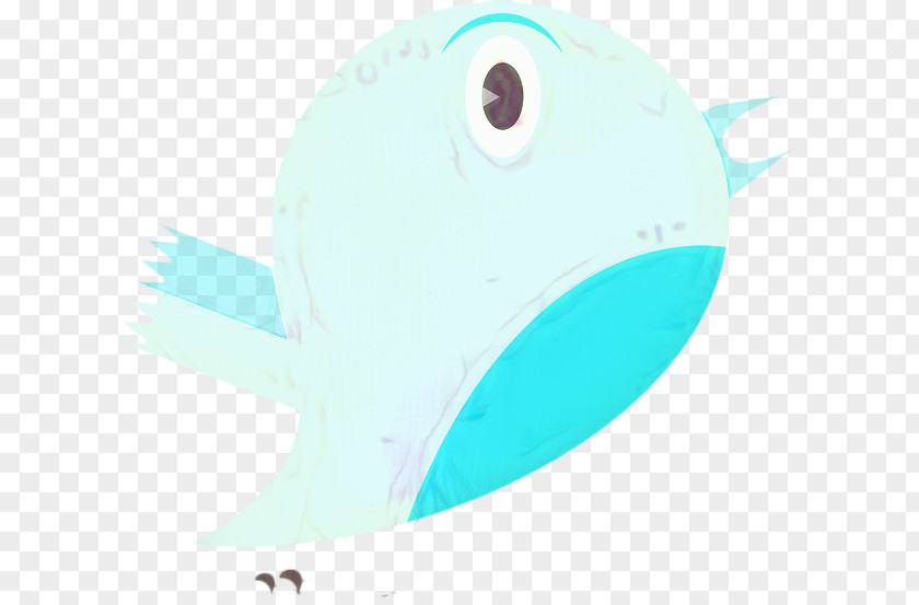 Aqua Turquoise Fish Cartoon PNG
