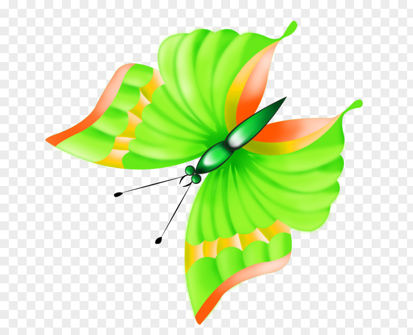 Fasten Clip Art Butterfly Drawing Openclipart PNG