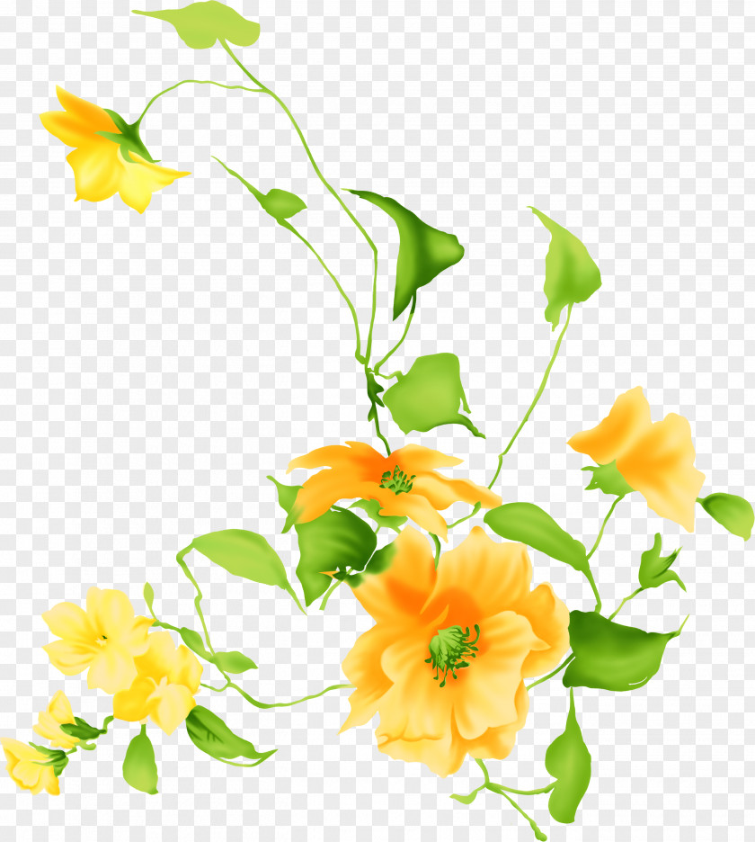 Flower Floral Design Cut Flowers Bouquet Tulip PNG