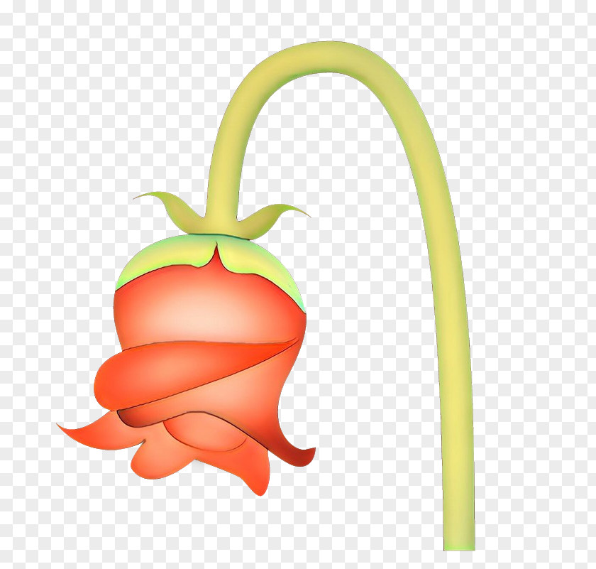 Gesture Plant Carrot Cartoon PNG