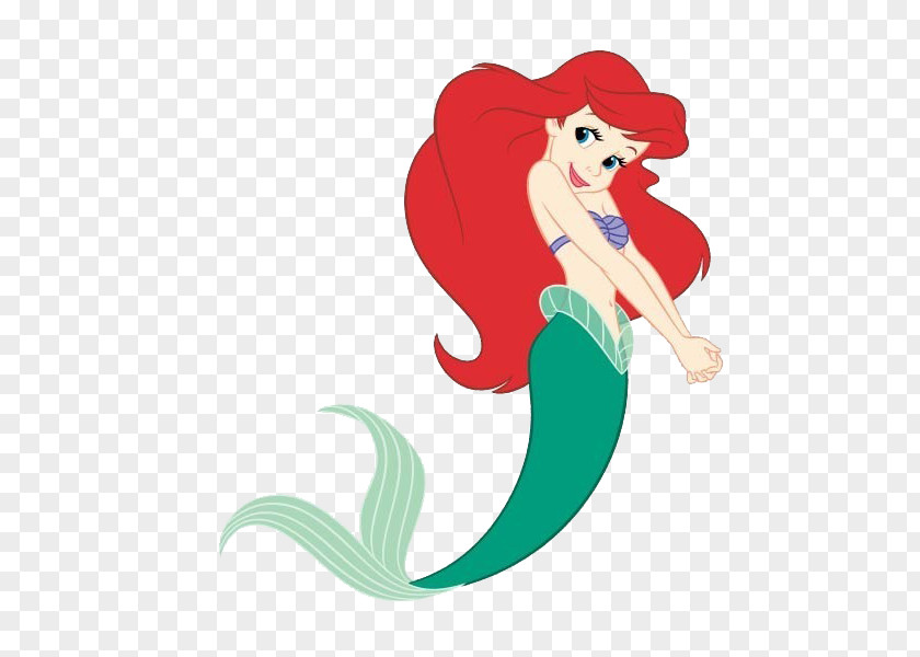 Mermaid The Little Cartoon PNG