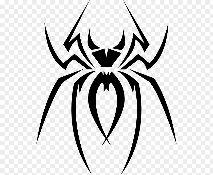 Spider Web Tribe Clip Art PNG