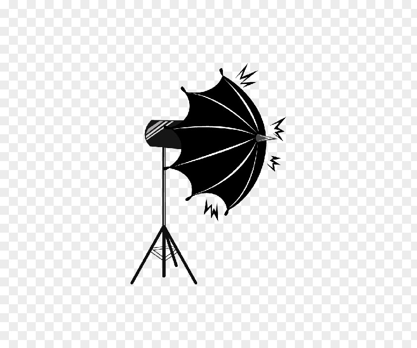 Tattoo Flash Abziehtattoo Camera Silhouette PNG