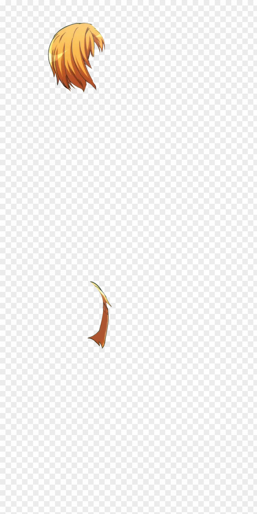 Computer Invertebrate Desktop Wallpaper Line Clip Art PNG