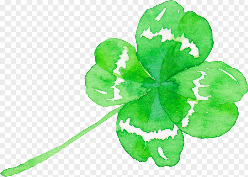 Hand Painted Green Clover Four-leaf PNG