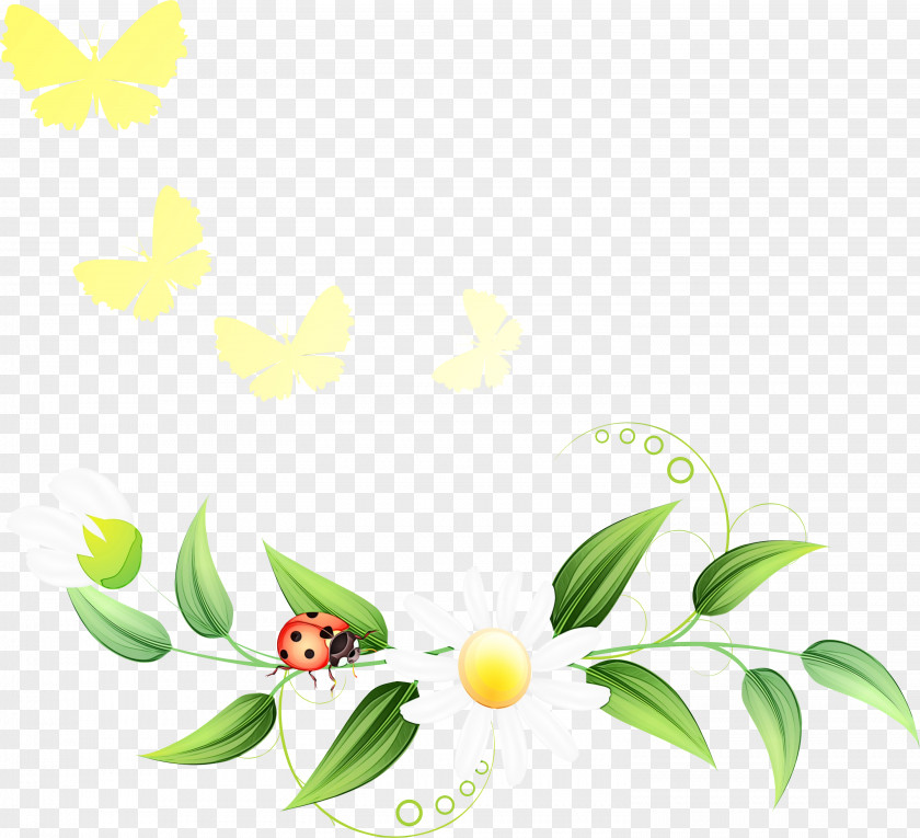 Leaf Plant Flower Branch PNG