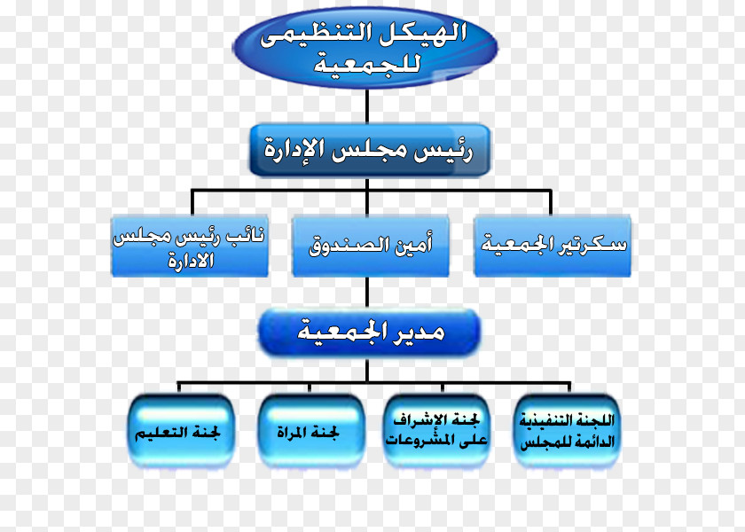 Ngos Lake Bardawil Organizational Structure Theory Management PNG