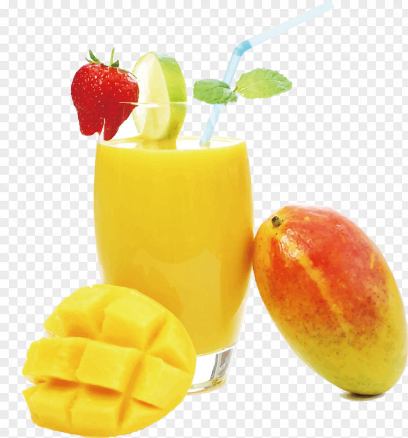 Vector Mango Juice Orange Biryani Strawberry PNG