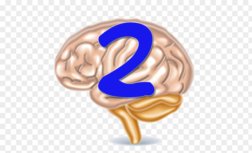 Brain Trainer GamesBrain Teaser 2 Human Body Games PuzzleBrain PNG