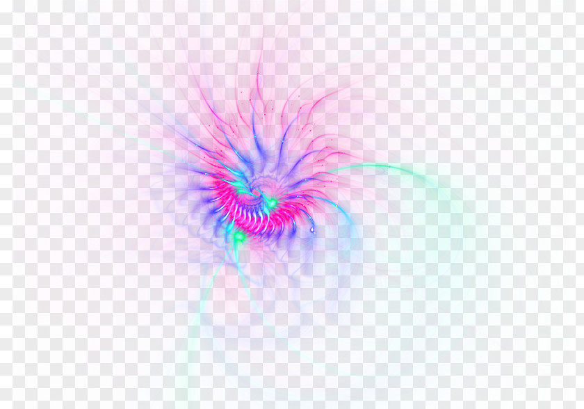 Colorful Light Effect Elements Desktop Wallpaper Violet Close-up Sky Petal PNG