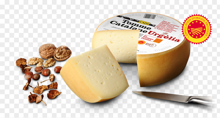 Milk Parmigiano-Reggiano Cheese Butter Alt Urgell Eta Cerdanyako Gazta PNG