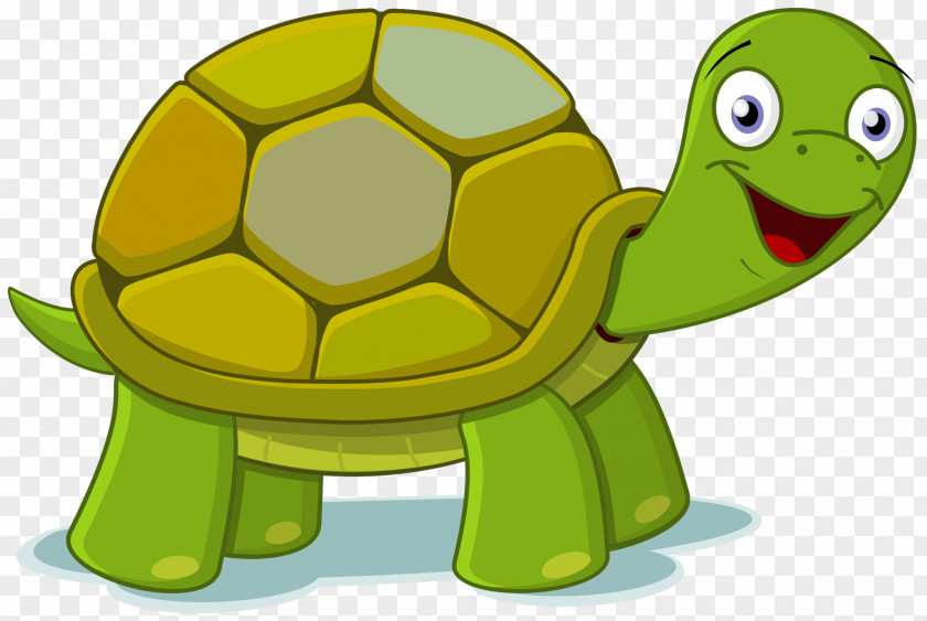 Turtle Clip Art Openclipart Image PNG
