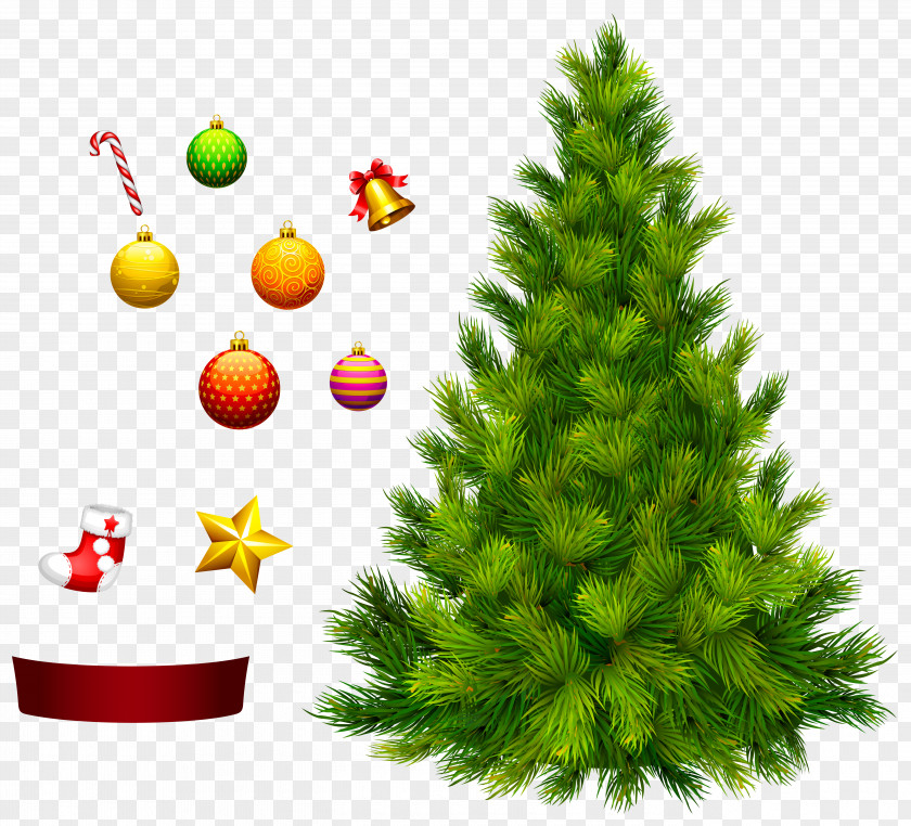 Xmas Tree For Decoration Clipart PNG