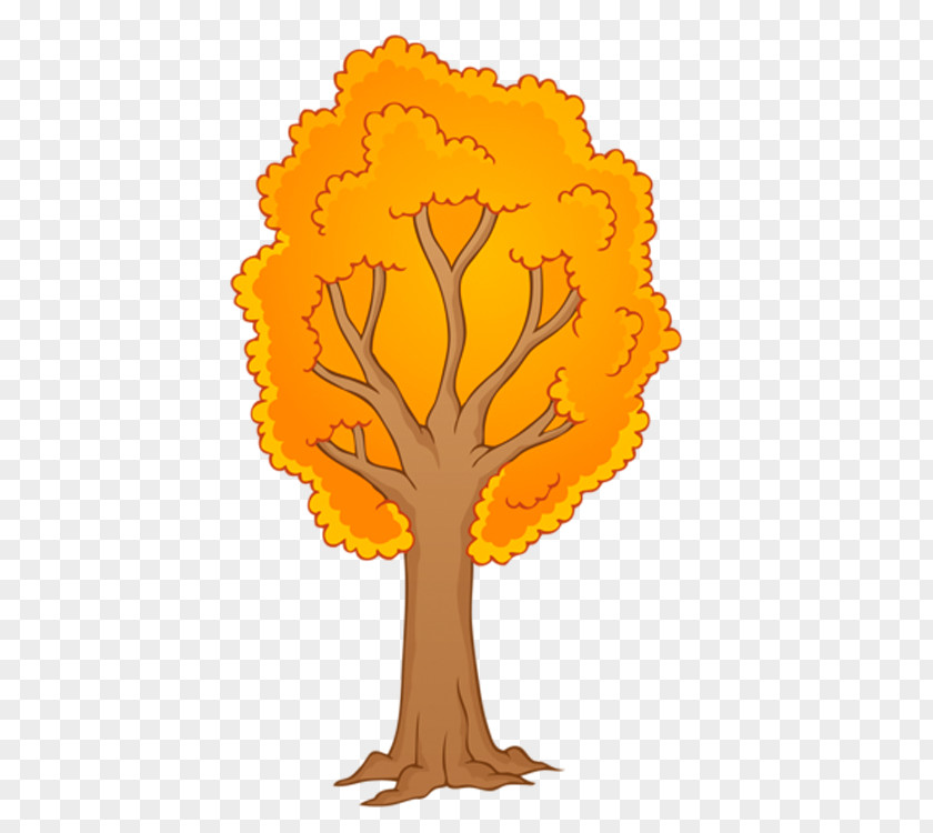 Biomarker Button Fall Tree Clip Art Branch Image PNG