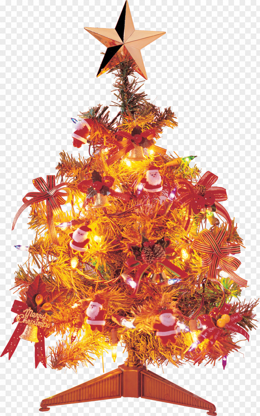 Christmas Tree New Year Las Posadas PNG