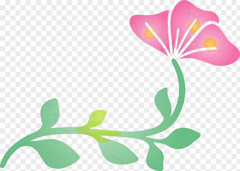 Floral Design PNG