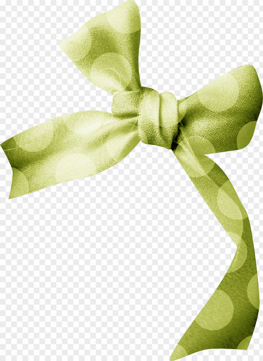 Green Bow Ribbon Gift PNG