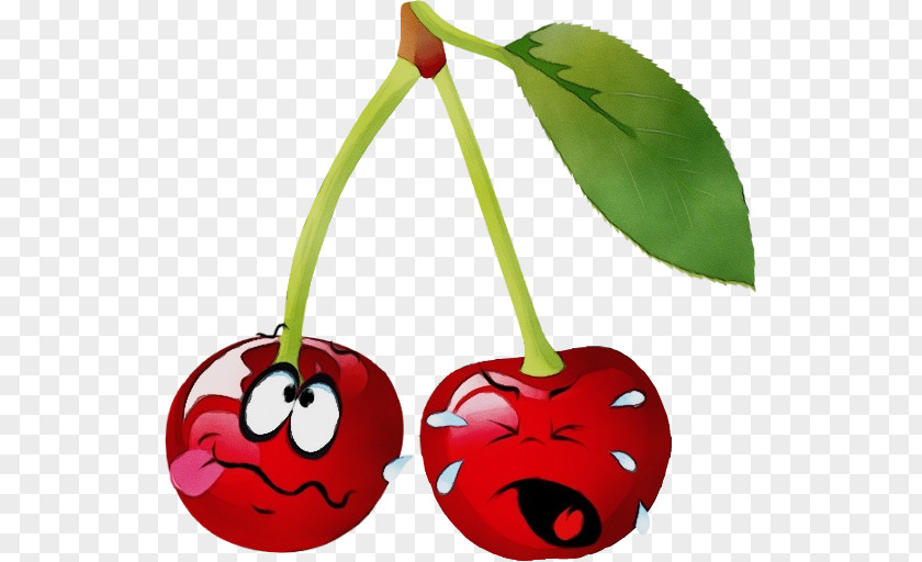 Humour Fruit Cherry Cartoon PNG