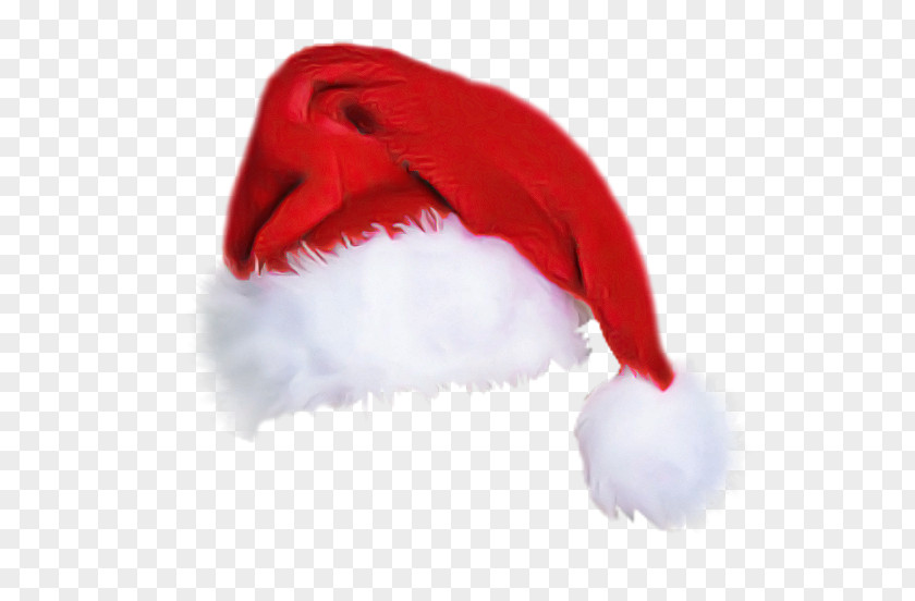 Santa Claus PNG