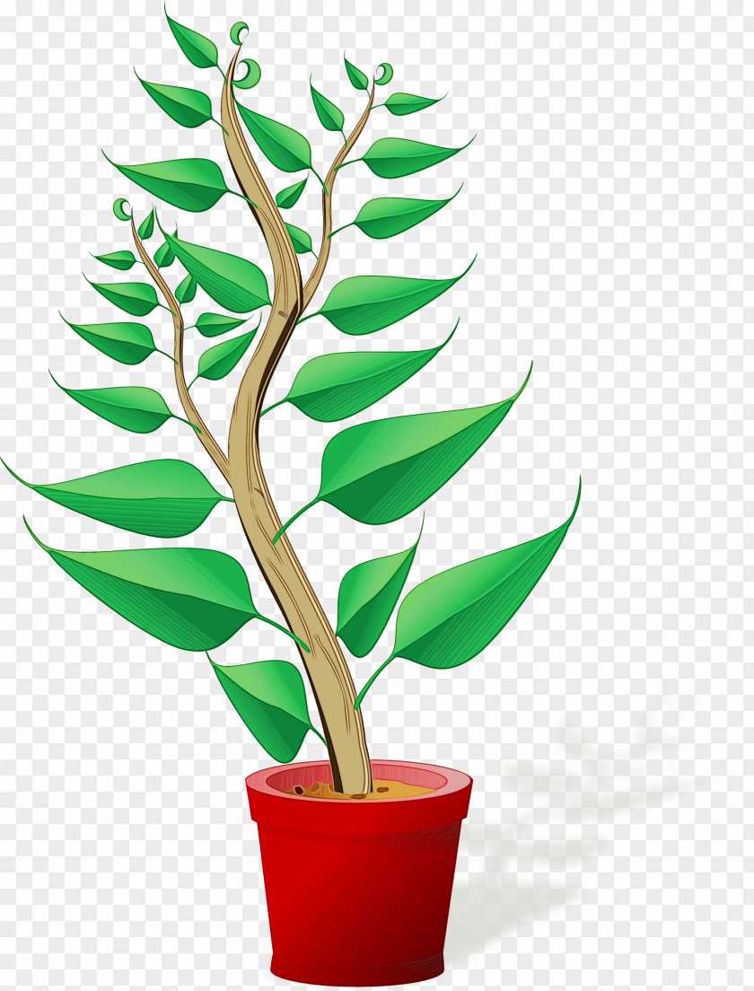 Branch Tree Grow Light Plants Plant Breeding Houseplant Stem PNG