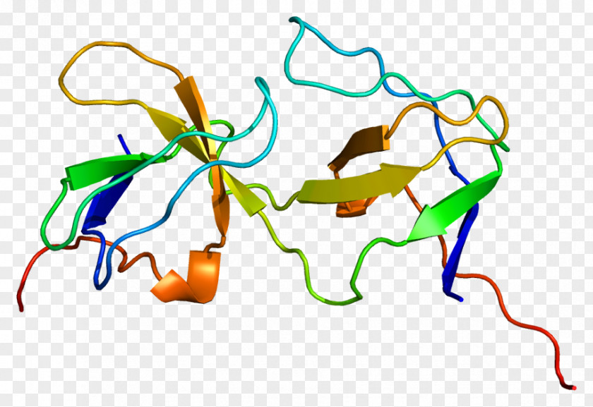 EPS8L2 Protein Epidermal Growth Factor Receptor ABI1 PNG