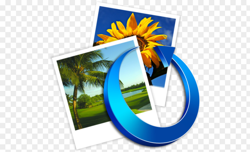 Flower Golf Course Desktop Wallpaper Energy PNG
