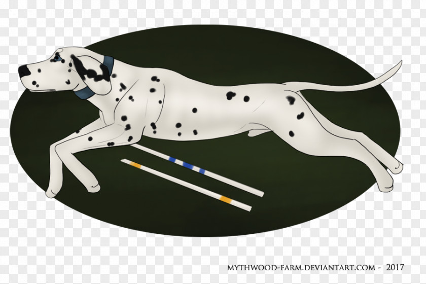 Teacup Dogs Agility Association Dalmatian Dog Great Dane Breed PNG