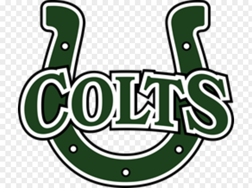 Atlanta Falcons Cloverleaf High School Indianapolis Colts Epiphany Management Group LLC Logo Sport PNG