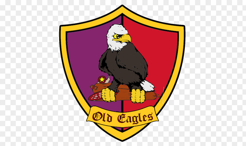 Eagle Bald Clip Art Beak Logo PNG