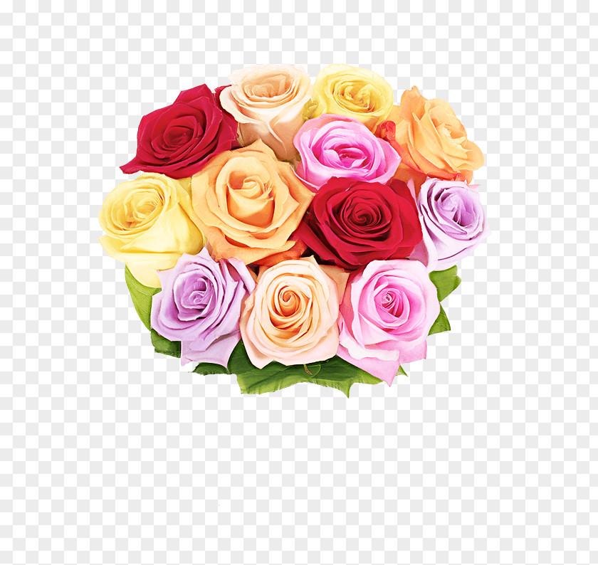 Floral Design PNG