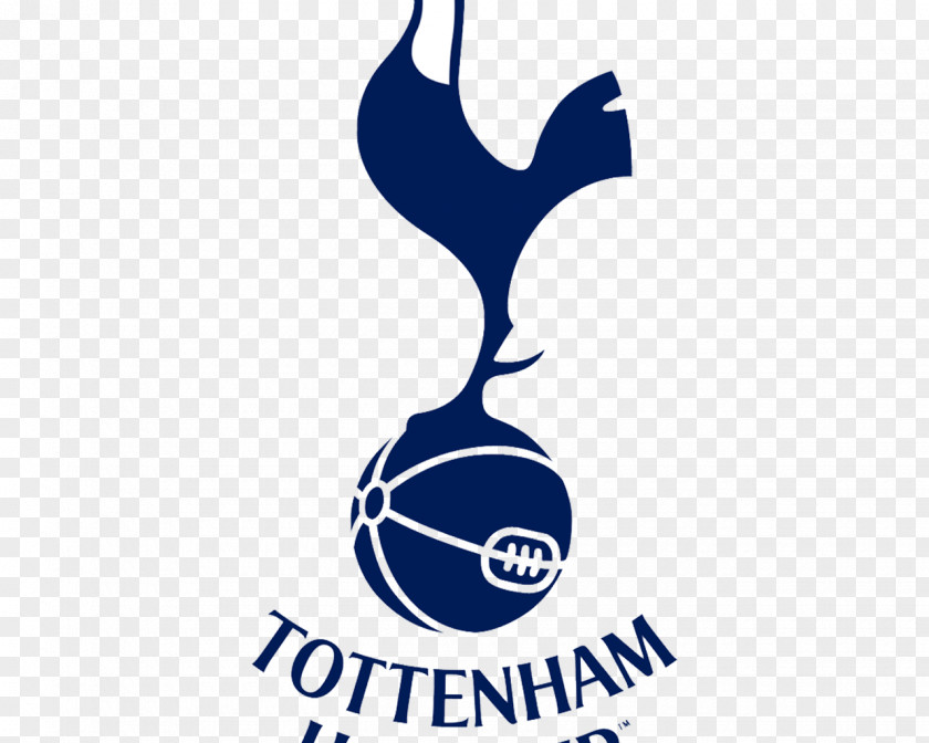 Football Tottenham Hotspur F.C. 2012–13 Premier League Goodison Park The Emirates FA Cup PNG
