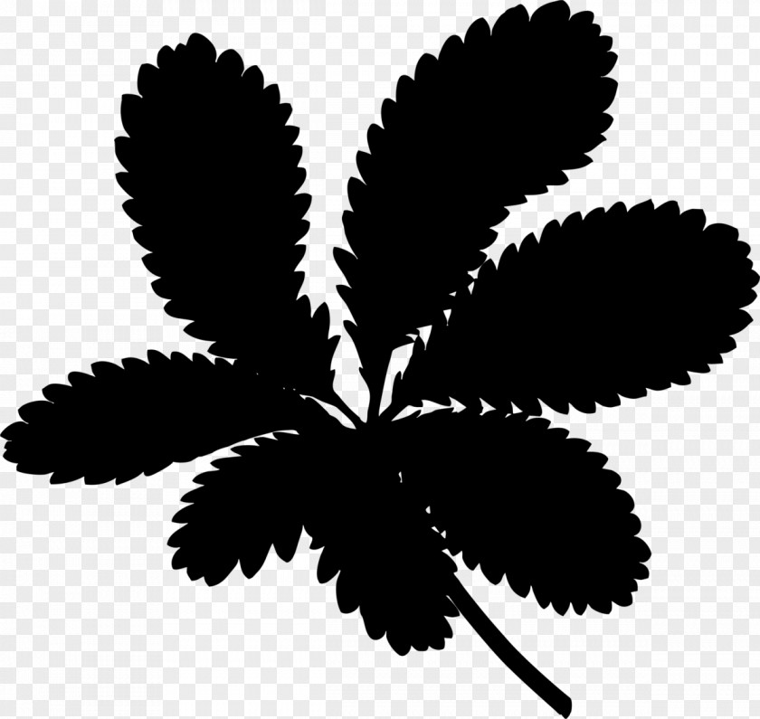 Leaf Plant Stem Silhouette Flowering Cannabis PNG