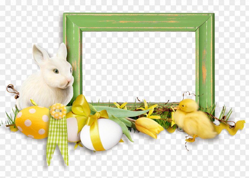 Rabbit Domestic Easter Bunny Hare Picture Frames PNG