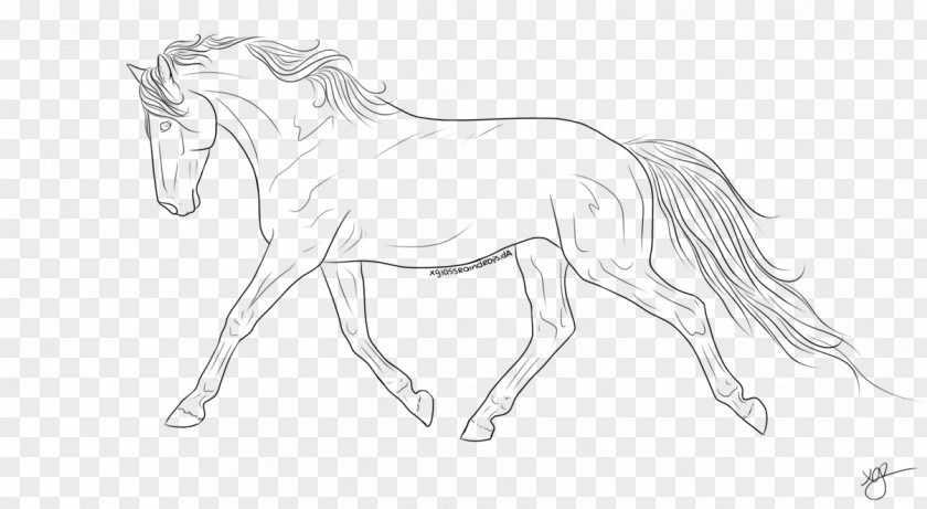 Raindrops Painted Line Art Dutch Warmblood Trot Bridle How To Draw A Horse PNG