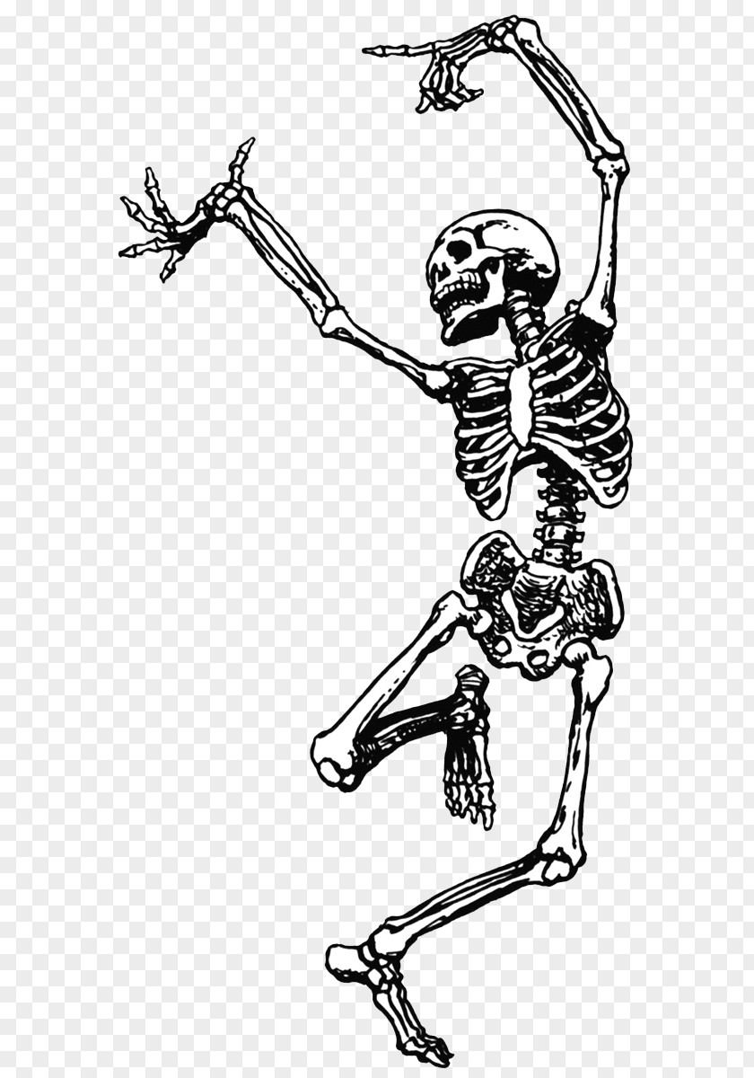 Skeleton Skull Dance Clip Art PNG