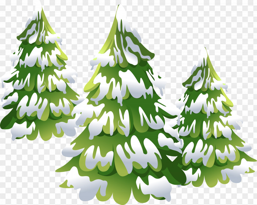 Christmas Tree Spruce Pine Ornament PNG