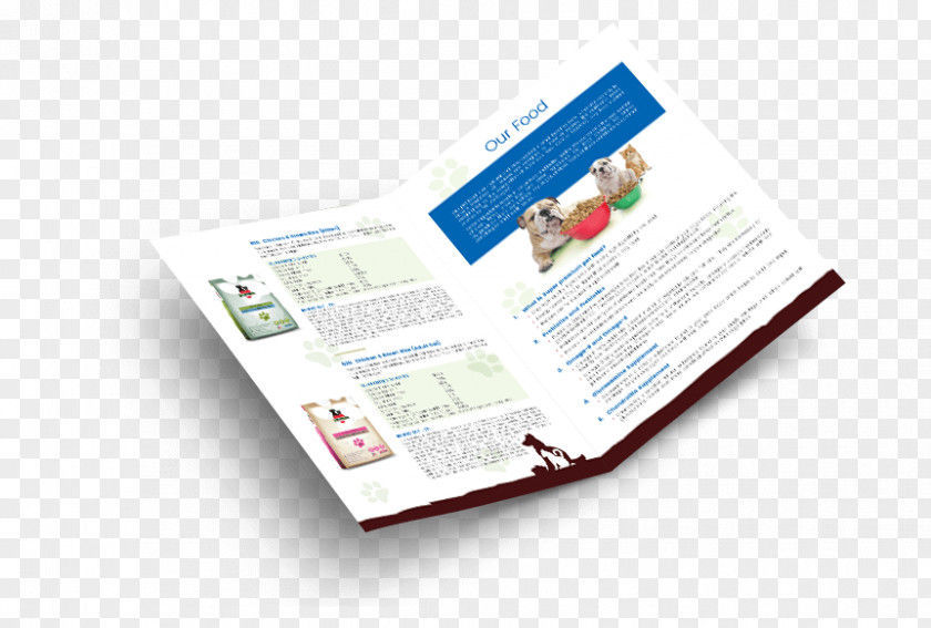 Design Brochure Pamphlet Service Catalog PNG