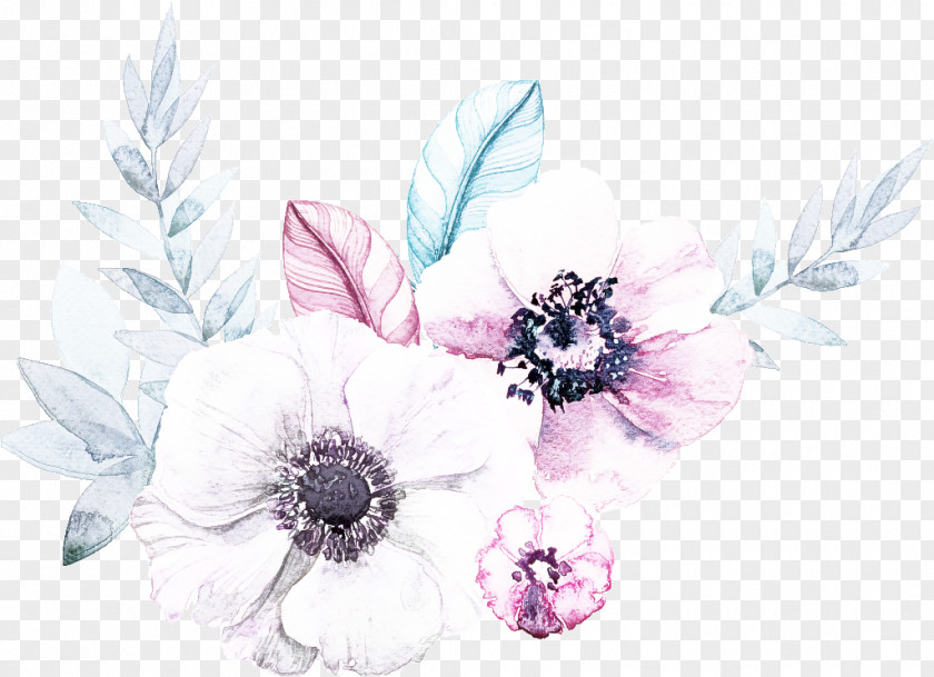 Feather Wildflower PNG
