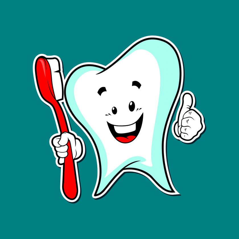 Oral Hygiene Dentistry Teeth Cleaning Tooth Brushing PNG hygiene cleaning brushing, teeth clipart PNG