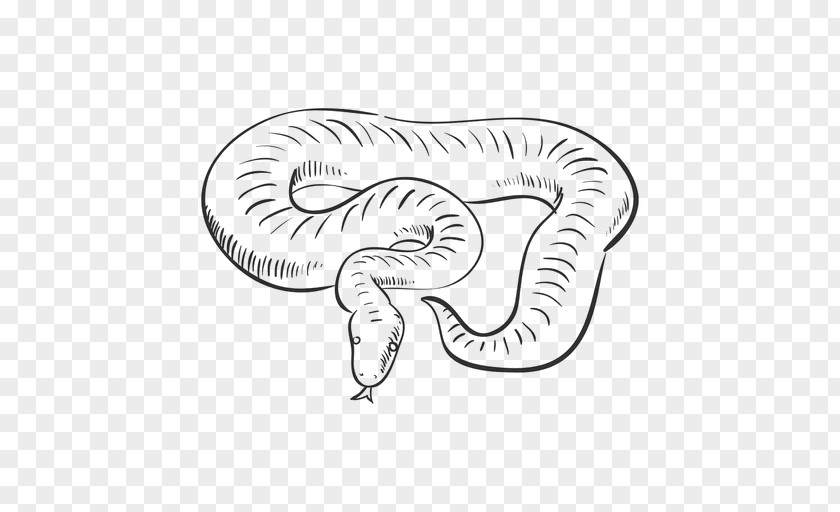 Snakes Snake Drawing Line Art PNG