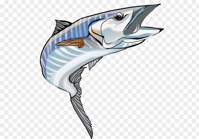 Stripped Wahoo Clip Art PNG