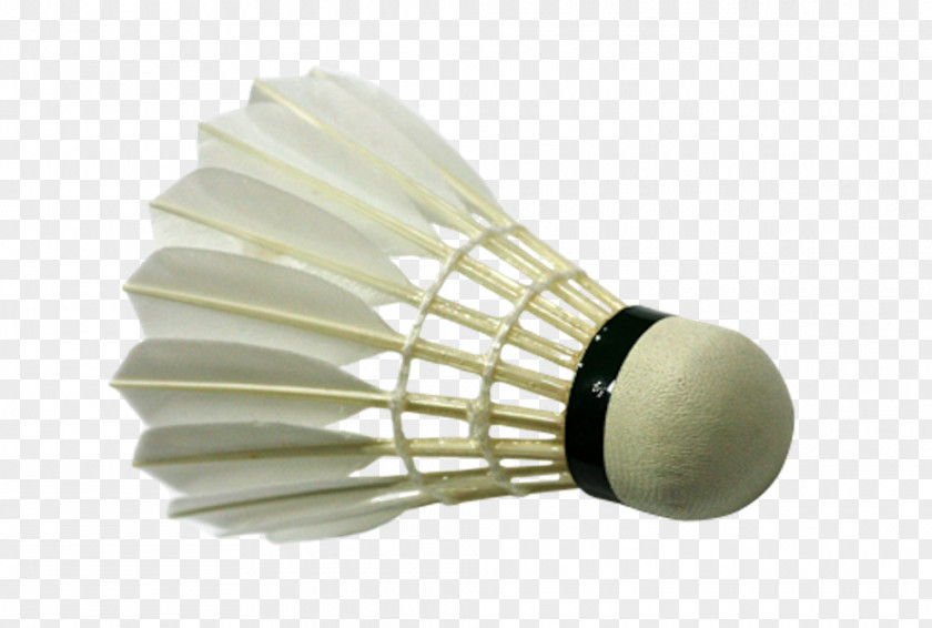 Badminton Shuttlecock Badmintonracket PNG