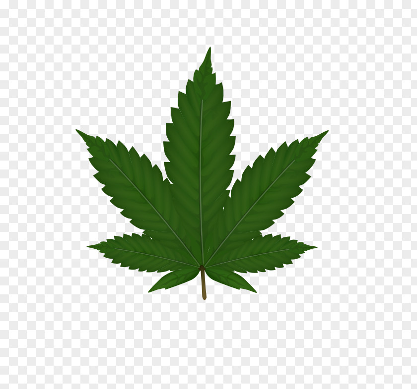 Cannabis Sativa Leaf Clip Art PNG