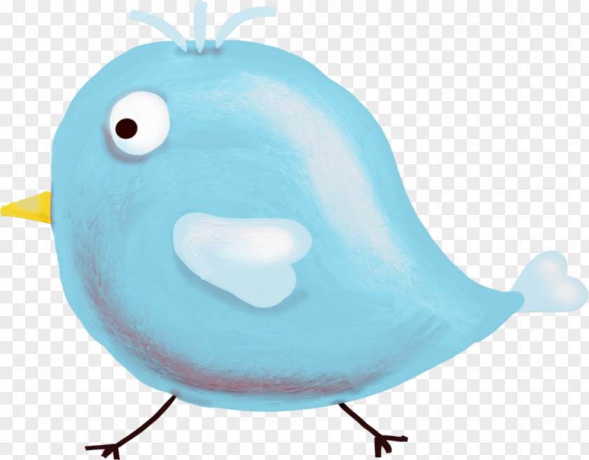 Chick Blue Chicken PNG
