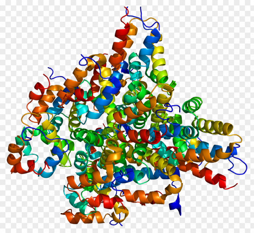 LRDD Death Domain Protein Human Gene PNG