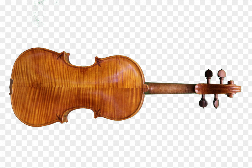 Violin Violone Viola Cello Musical Instruments PNG