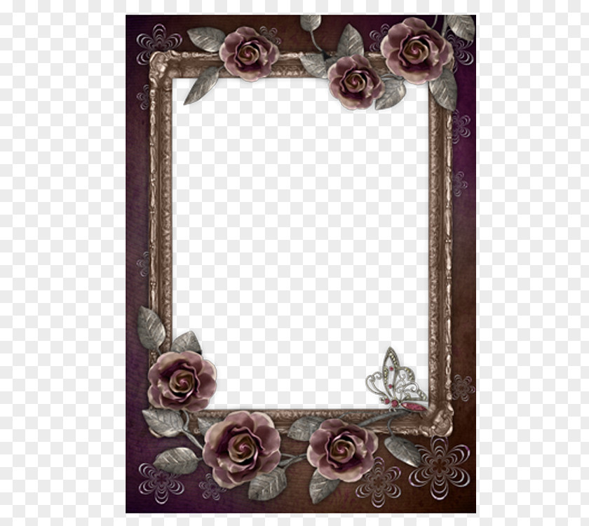 Black Rose Flower Frame Film PNG